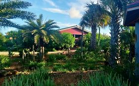 Red Palm Village